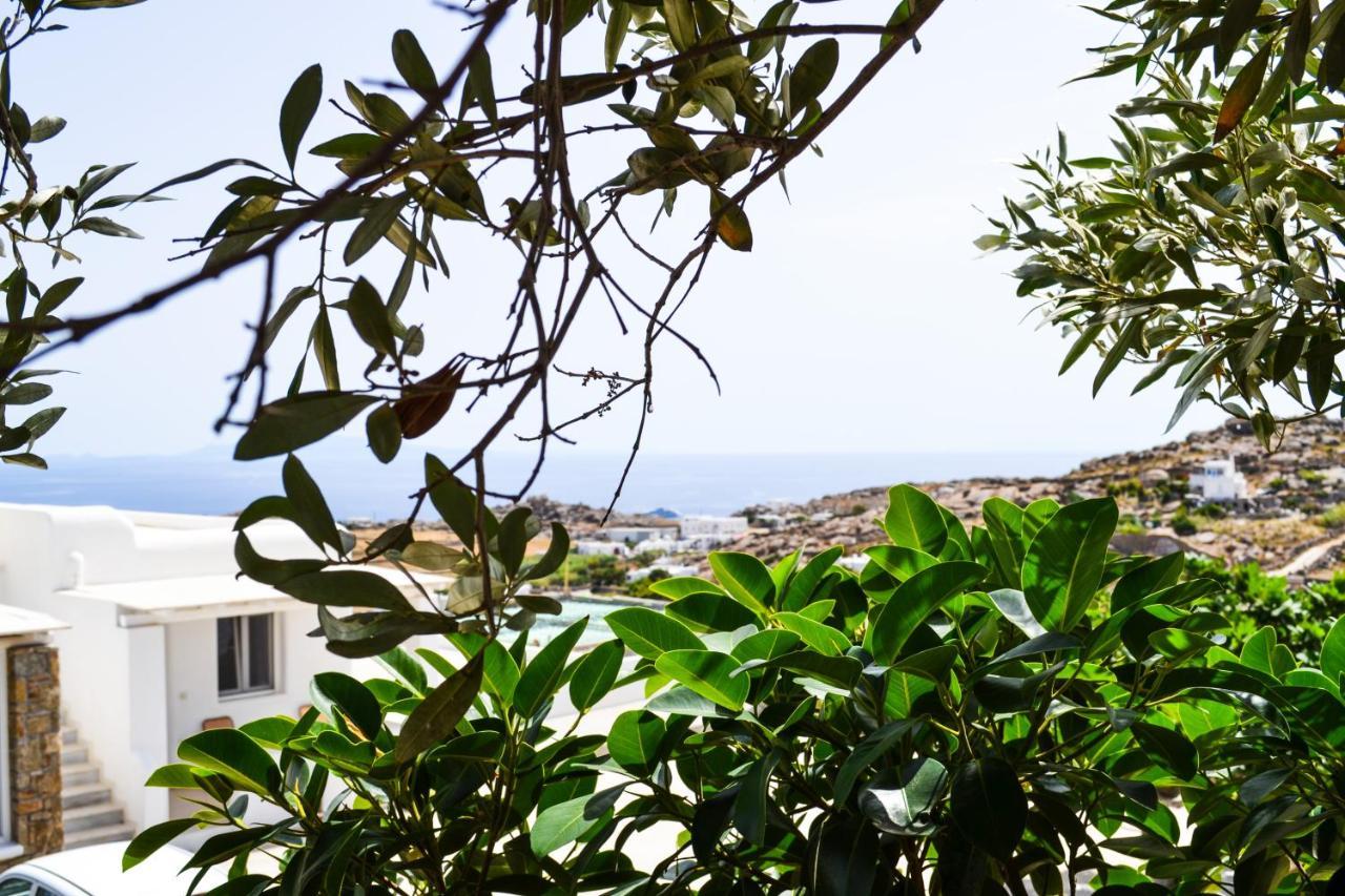Elma'S Summerhouses Mykonos Town Exterior photo